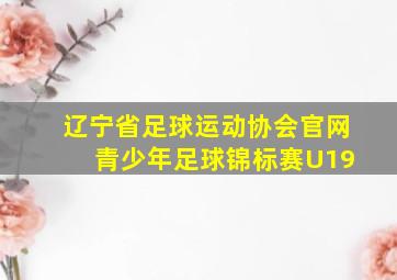 辽宁省足球运动协会官网 青少年足球锦标赛U19